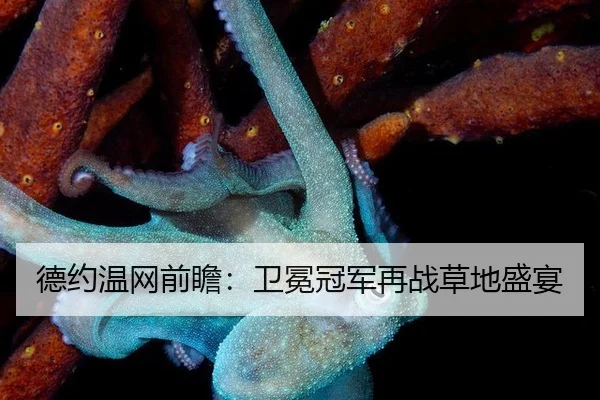 德约温网前瞻：卫冕冠军再战草地盛宴